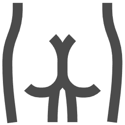 肛門